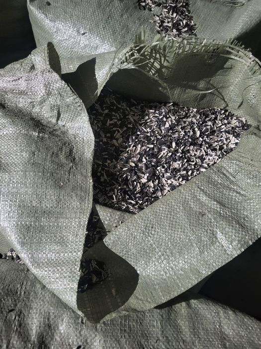 Лузга подсолнуха