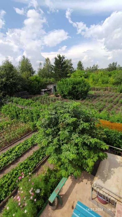 Дача 10 соток Общество «Ракета»