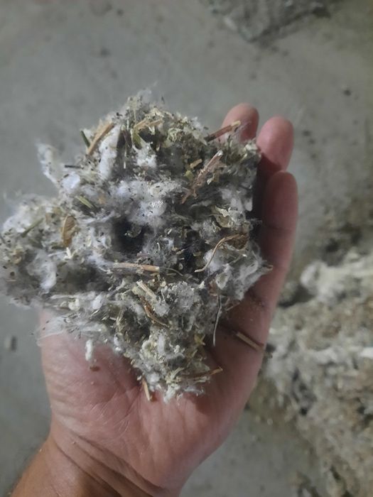 Пахта маҳсулоти ем