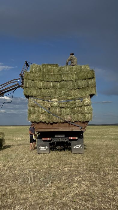 Проаю сено в тюках