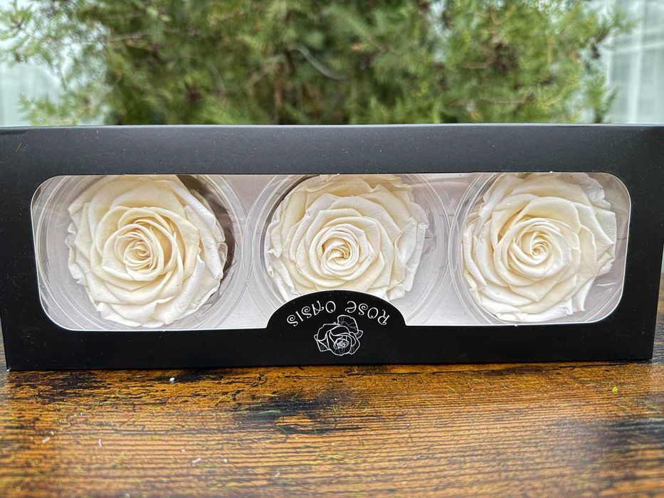 Вечни рози глави