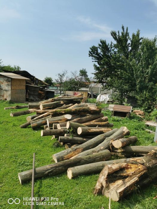 Lemn de foc ,Fag Stejar !! Cele mai bune preturi !!