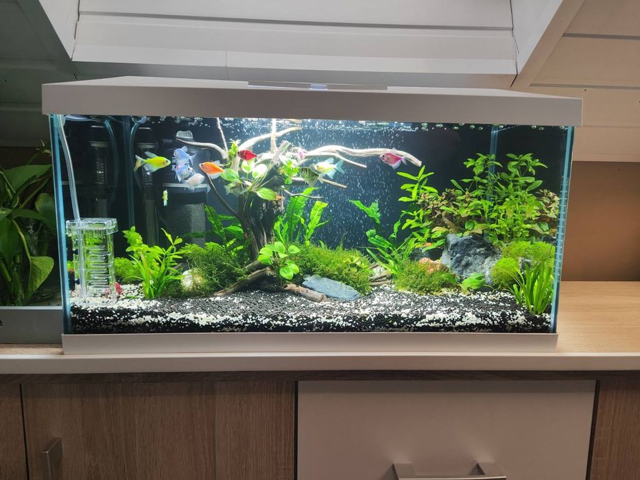 Аквариум 54литра