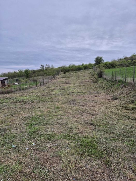 Teren intravilan 979 mp Podari – Livezi Dolj