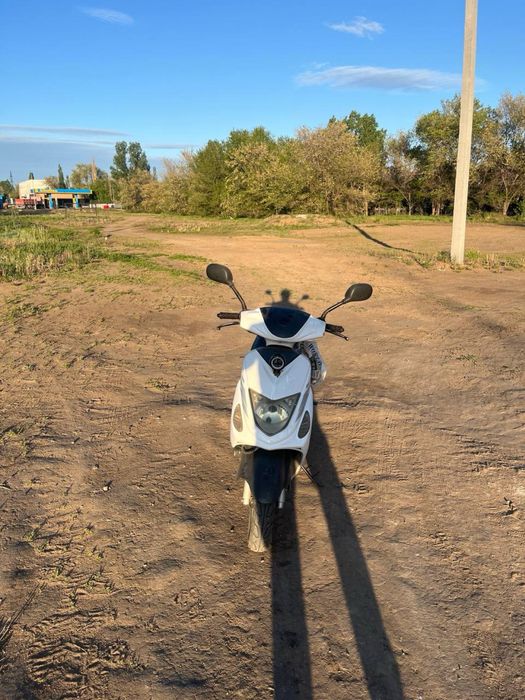 Продам скутер педа