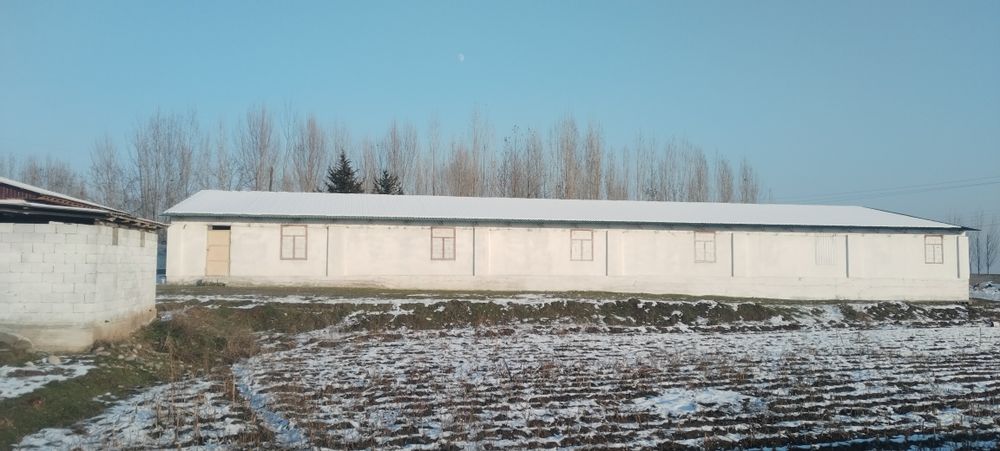 Ховли уйжой 30 сотих сотилади