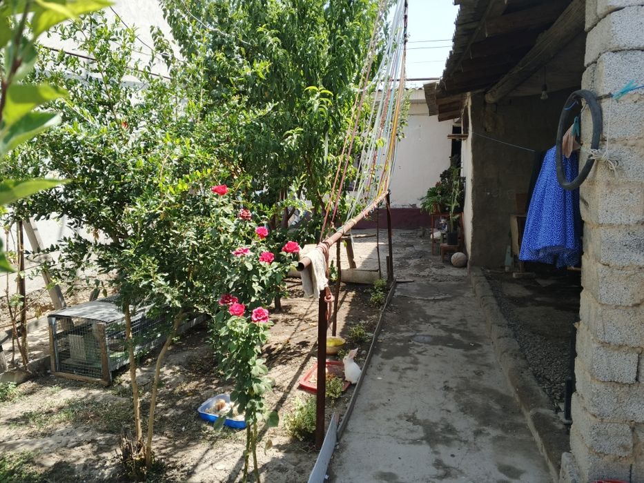 Sergilida joylawgan yer