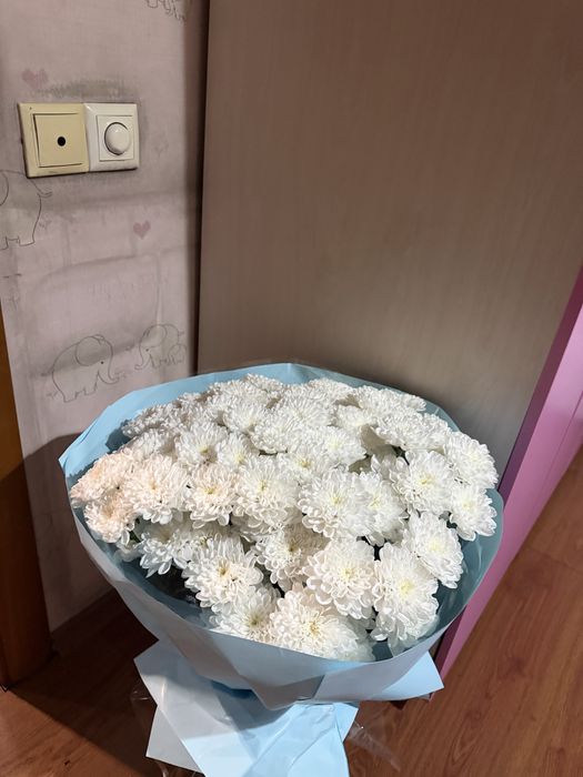 Свежие цветы красивые хризантема