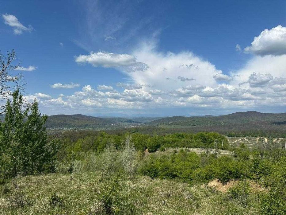 Teren Unic 1.000 mp cu Cazemantă Germană WW2 – Dealul Sângeriș, Moreni