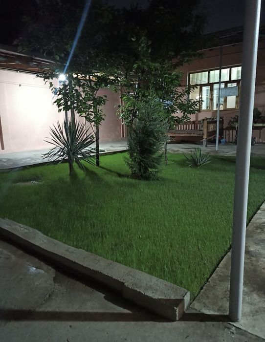 Посевной газон + рулон