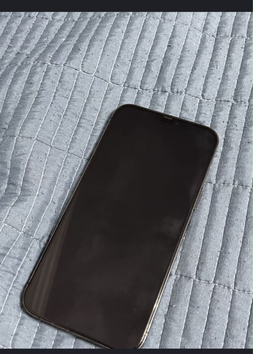 iPhone 12 pro max
