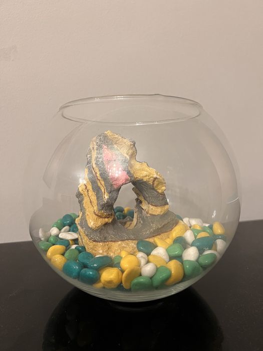 Аквариум с наполнением