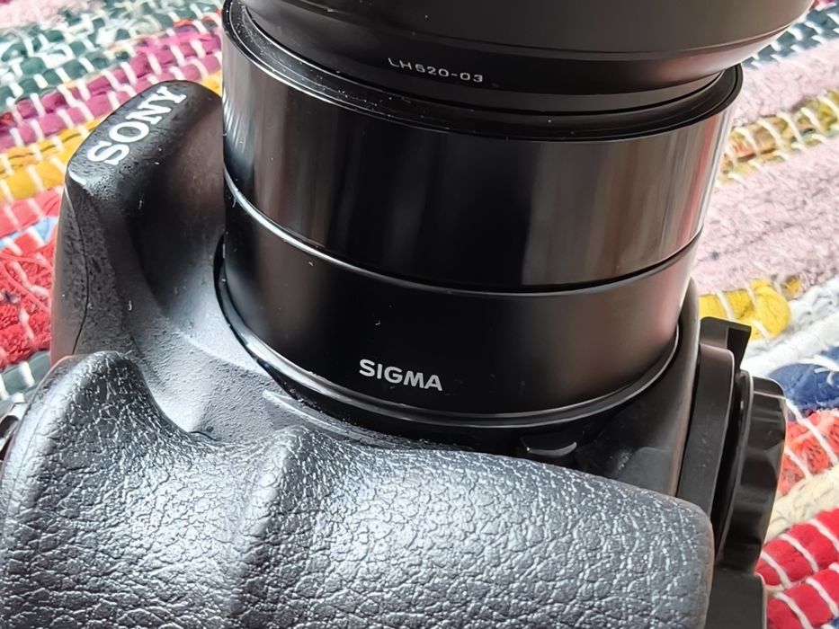 Безогледален Sony A3000 (20.1 MP) + Sigma  30mm F2.8