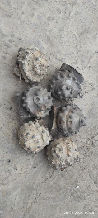 Pabidit dolotalarni ishtan chiqqanlarini olaman