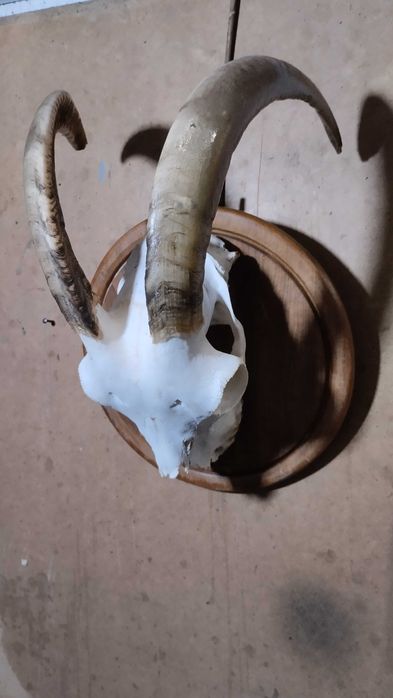 Декор, украса, сувенир