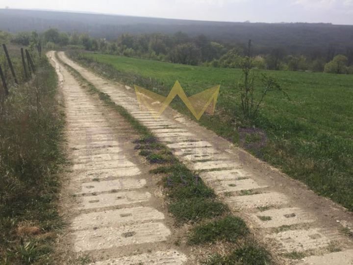 Продава се Парцел в с. Близнаци, Област Варна - 4300 кв.м за 6 €/кв.м - Снимка #4
