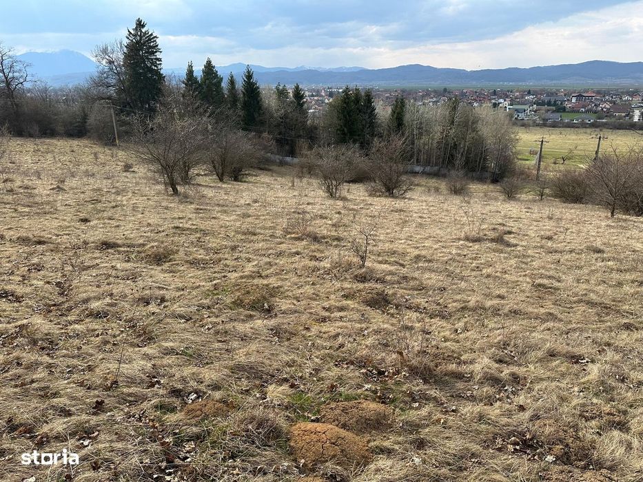 Teren extravilan pășune 6.000 mp – Cristian, Brașov