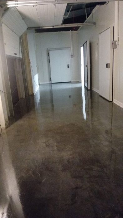 Inchiriez depozit frigorific si oferim servicii logistice