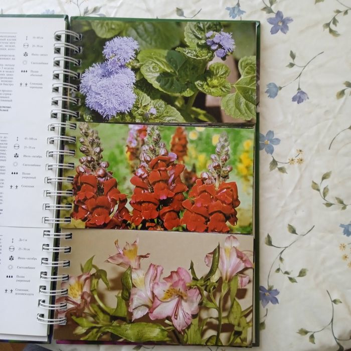 Миллион цветов на вашем участке