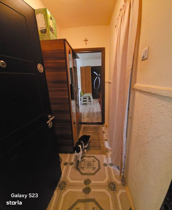 Apartament 2 camere zona Noua(mobilat complet)