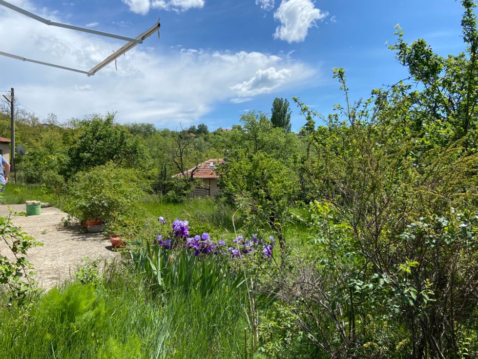 Продава се Къща в София, Бъкстон - 67 кв.м за 581 €/кв.м - Снимка #5