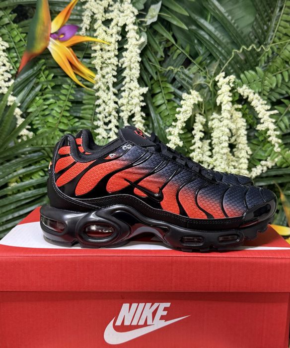 Nike Air Max Plus TN Black Red