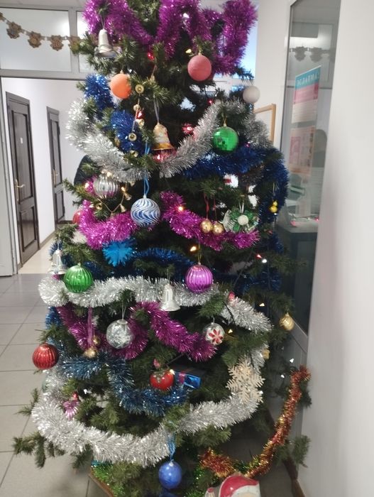 двухметровая Ёлка продаётся