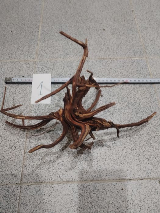 Специализирани аквариумни лампи и корени от азалия