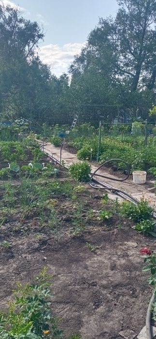 Продам дачу рядом с городом.