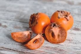 Самые лучшие растения цветы фруктовые деревья декоративные кустарники