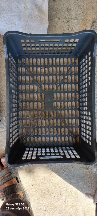 Яшик пласмас олманики 13 кг лик