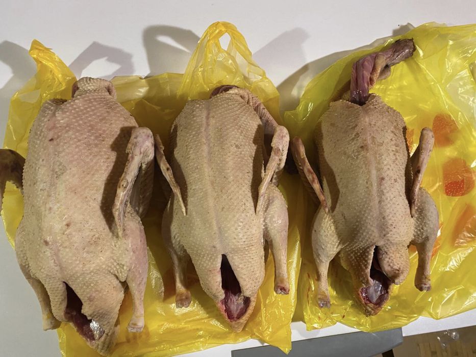 Продам мясо утки