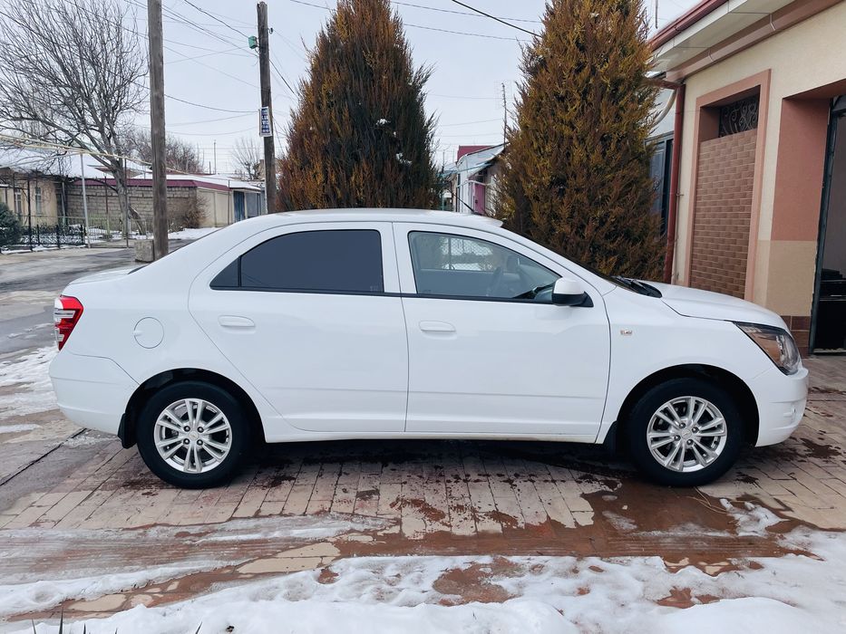 Cobalt-2022 4 позиция. Краска есть-кости целые.