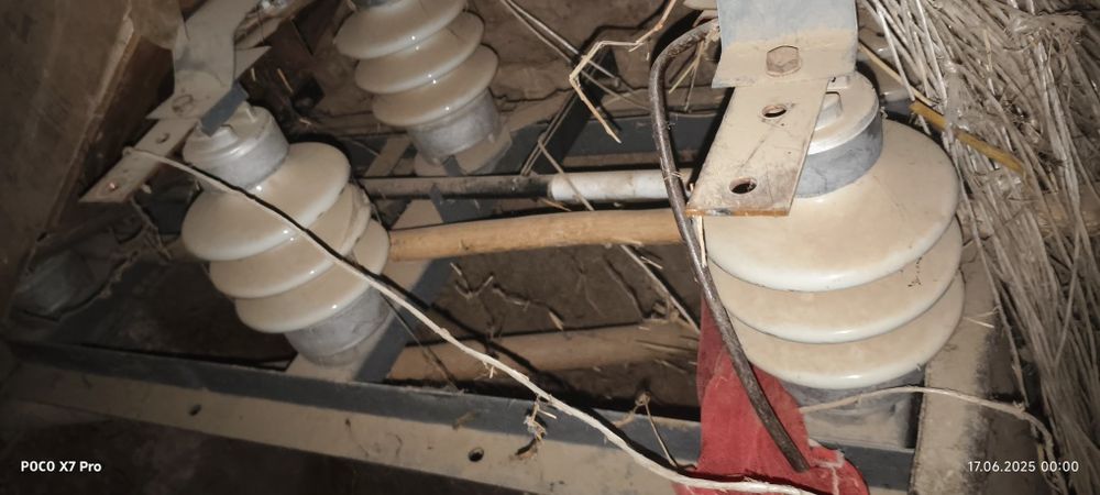 Rubilnik visoki  ajratib qushuvchi