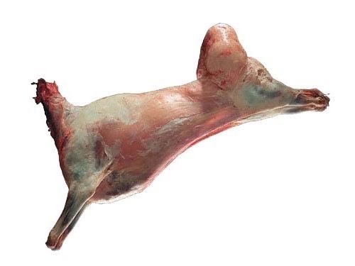 Қой,қозы еті шымкент