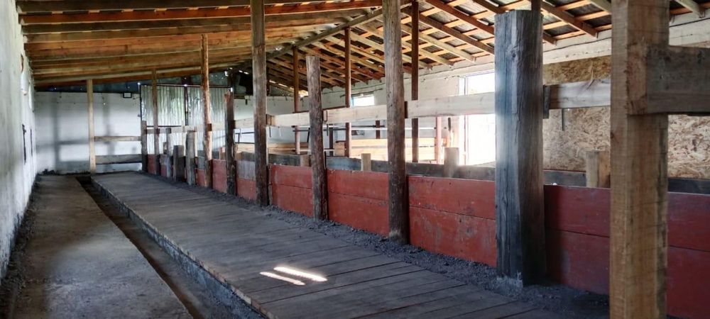 Продаю дом с базой