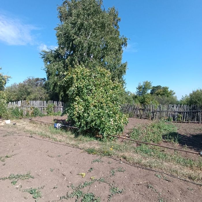 Продам дачу «Уралочка»