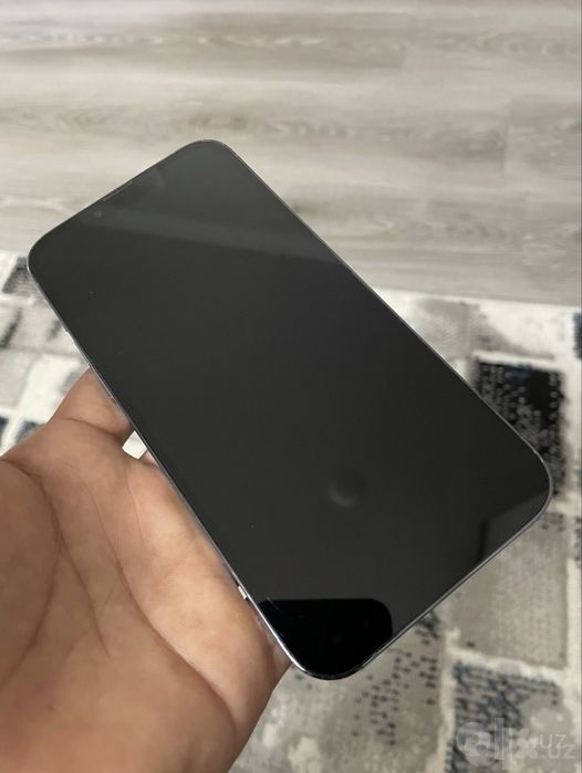 Iphone 13 pro max idial