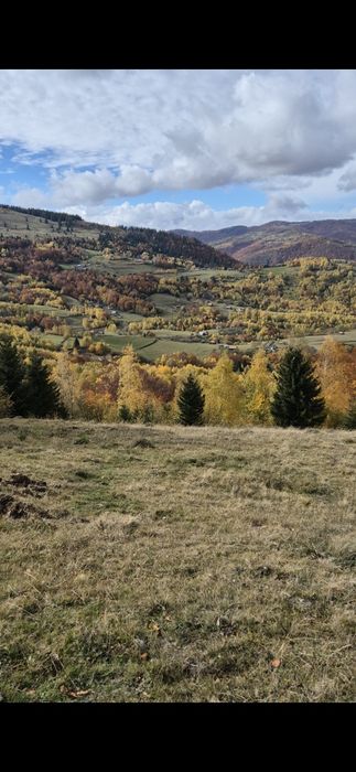 Teren de vanzare 6.5 hectare tranisu Cluj