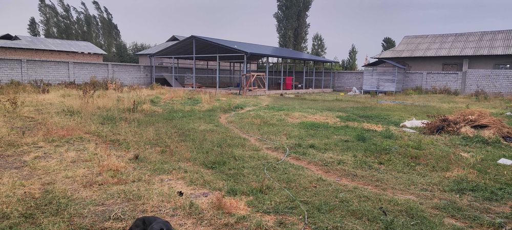 Продам участок в Янг Юль махале