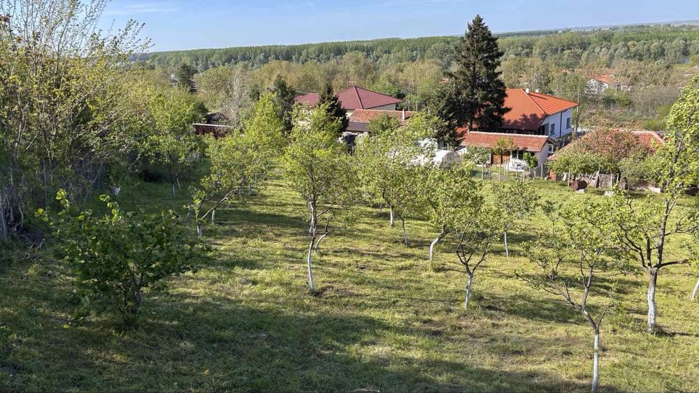 Парцел в гр. Козлодуй в регулация
