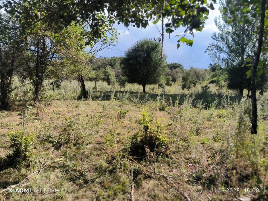 Перспективный участок