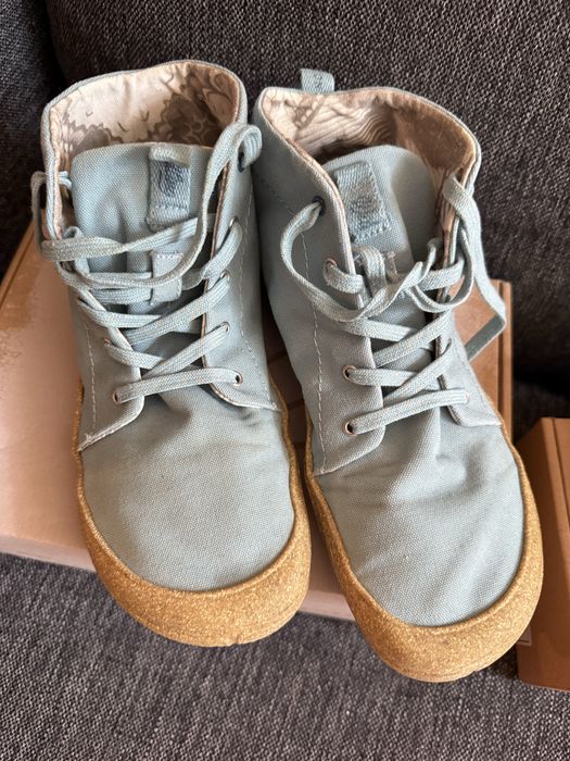 Wildling Pegasus 38
