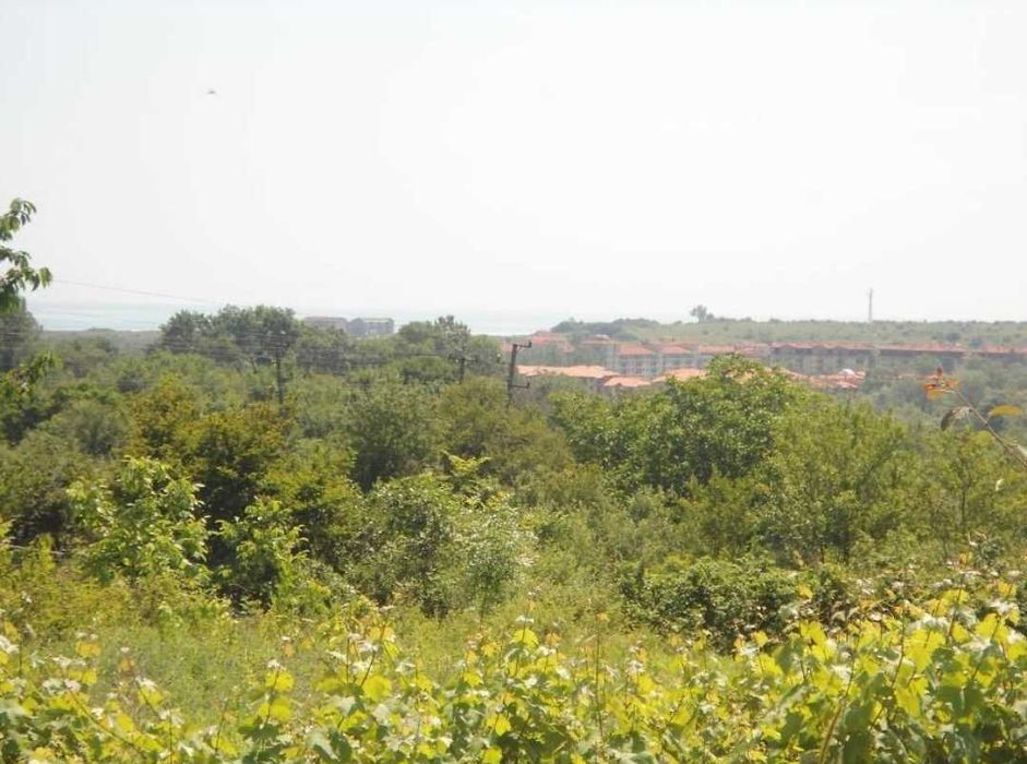 Продава се Парцел в Царево - 3031 кв.м за 25 €/кв.м - Снимка #3