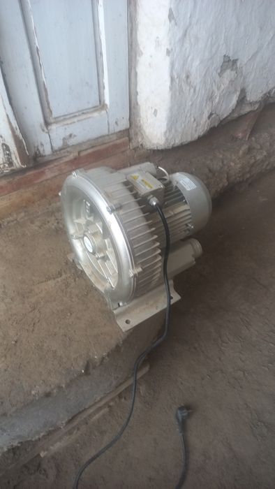 Gaz so'rgich shuningdek hovuzlarga kslarod xam beradi