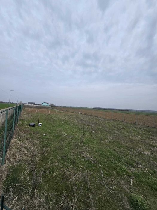 Terenuri de vanzare - Ilfov, Copaceni