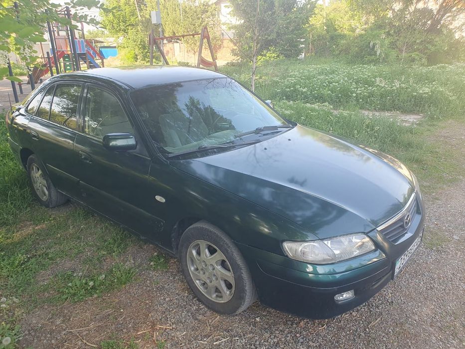 Обмен на крс, быки