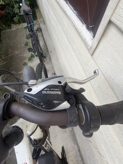 Bicicleta Mtb electrica, roti 29”
