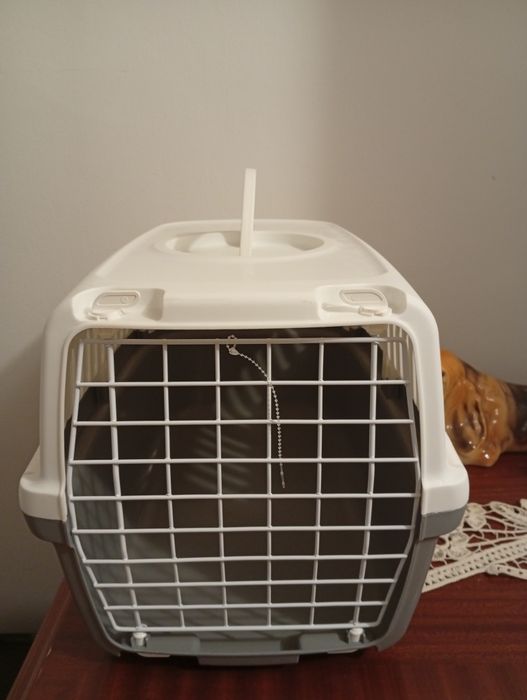 Cusca transport pisici