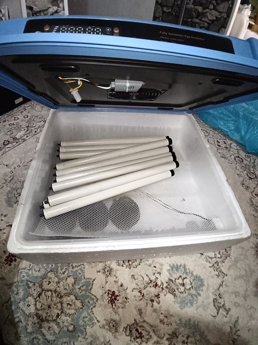 Инкубатор пользовался один раз